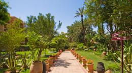 photo hotel marrakech semiramis jardin 