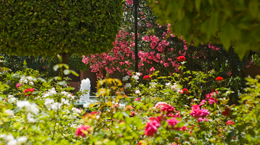 photo hotel marrakech semiramis jardin1 