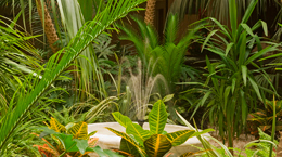 photo hotel marrakech semiramis jardin3 