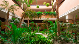 photo hotel marrakech semiramis jardin5 