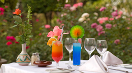 photo hotel marrakech semiramis plat3 