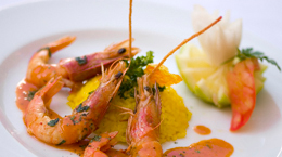photo hotel marrakech semiramis plat5 